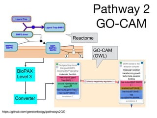 Pathway 2
GO-CAM
Reactome
GO-CAM
(OWL)
BioPAX
Level 3
Converter
https://github.com/geneontology/pathways2GO
 