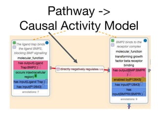 Pathway ->
Causal Activity Model
 