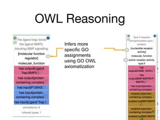 OWL Reasoning
Infers more
specific GO
assignments
using GO OWL
axiomatization
 