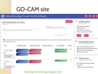 GO-CAM site
http://geneontology.org/go-cam
 