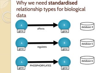 Why we need standardised
relationship types for biological
data
B
gene
A
gene
affects
B
gene
A
gene
regulates
B
gene
A
gene
PHOSPHORYLATES
database 4
database 5
database 6
 