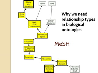 MeSH
Why we need
relationship types
in biological
ontologies
 