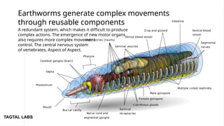 Causal Emergence and Artificial Intelligence.pptx