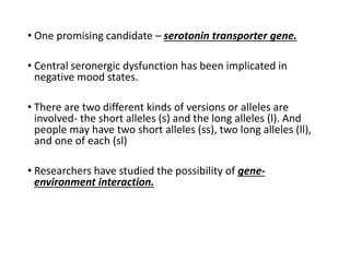 • One promising candidate – serotonin transporter gene.
• Central seronergic dysfunction has been implicated in
negative mood states.
• There are two different kinds of versions or alleles are
involved- the short alleles (s) and the long alleles (l). And
people may have two short alleles (ss), two long alleles (ll),
and one of each (sl)
• Researchers have studied the possibility of gene-
environment interaction.
 