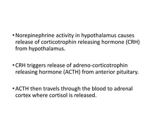 •Norepinephrine activity in hypothalamus causes
release of corticotrophin releasing hormone (CRH)
from hypothalamus.
•CRH triggers release of adreno-corticotrophin
releasing hormone (ACTH) from anterior pituitary.
•ACTH then travels through the blood to adrenal
cortex where cortisol is released.
 