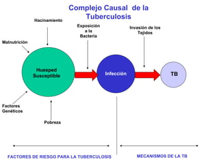 Huesped Susceptible Infección TB Pobreza Hacinamiento Malnutrición Factores Genéticos Exposición a la Bacteria Invasión de los Tejidos FACTORES DE RIESGO PARA LA TUBERCULOSIS Complejo Causal  de la Tuberculosis MECANISMOS DE LA TB 