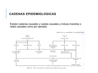 CADENAS EPIDEMIOLOGICAS 
Existen cadenas causales y ruedas causales y incluso marañas o 
redes causales como por ejemplo: 
 