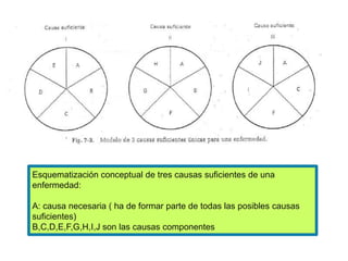 Esquematización conceptual de tres causas suficientes de una 
enfermedad: 
A: causa necesaria ( ha de formar parte de todas las posibles causas 
suficientes) 
B,C,D,E,F,G,H,I,J son las causas componentes 
 