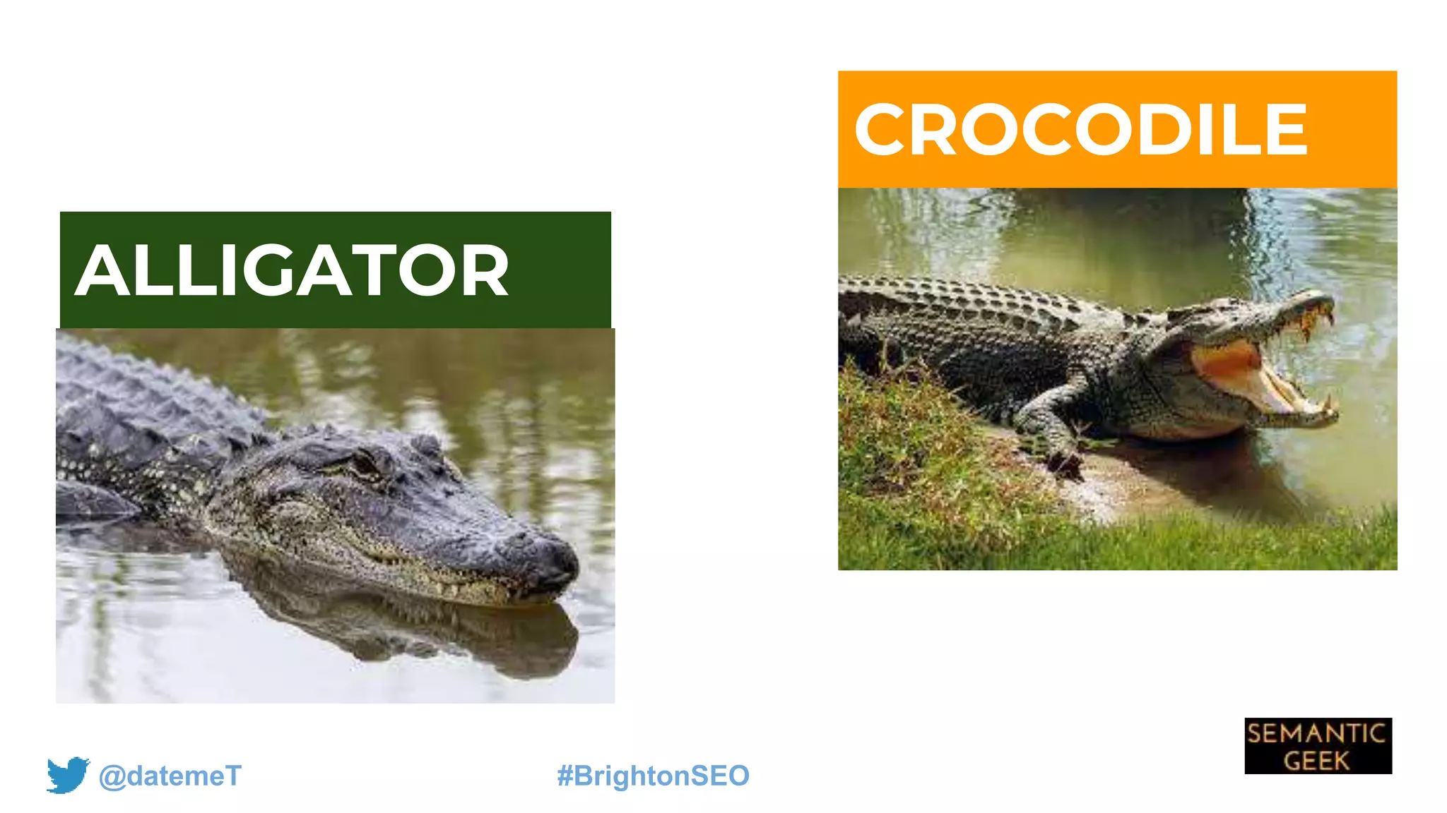 @datemeT #BrightonSEO
CROCODILE
ALLIGATOR
 