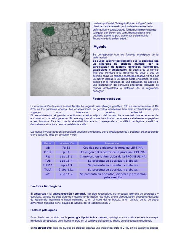 Causas De La Obesidad Causas De La Obesidad