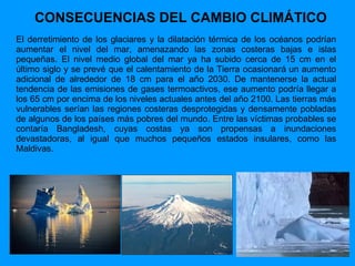 CONSECUENCIAS DEL CAMBIO CLIMÁTICO El derretimiento de los glaciares y la dilatación térmica de los océanos podrían aumentar el nivel del mar, amenazando las zonas costeras bajas e islas pequeñas. El nivel medio global del mar ya ha subido cerca de 15 cm en el último siglo y se prevé que el calentamiento de la Tierra ocasionará un aumento adicional de alrededor de 18 cm para el año 2030. De mantenerse la actual tendencia de las emisiones de gases termoactivos, ese aumento podría llegar a los 65 cm por encima de los niveles actuales antes del año 2100. Las tierras más vulnerables serían las regiones costeras desprotegidas y densamente pobladas de algunos de los países más pobres del mundo. Entre las víctimas probables se contaría Bangladesh, cuyas costas ya son propensas a inundaciones devastadoras, al igual que muchos pequeños estados insulares, como las Maldivas. 
