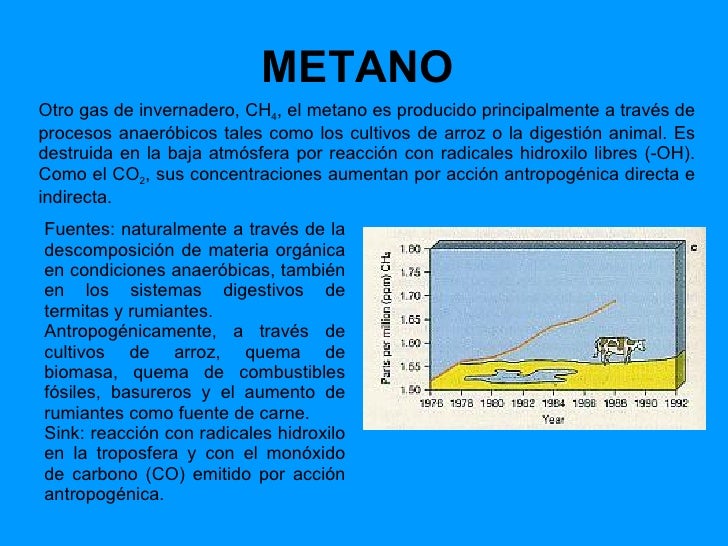 Que Pasaria Si No Existieran Los Gases Invernaderos