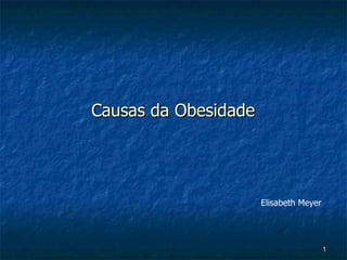 Causas da Obesidade Elisabeth Meyer 