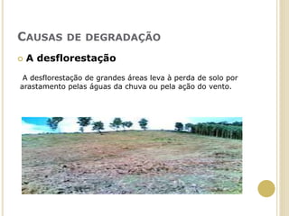 CAUSAS DE DEGRADAÇÃO
 A desflorestação
A desflorestação de grandes áreas leva à perda de solo por
arastamento pelas águas da chuva ou pela ação do vento.
 