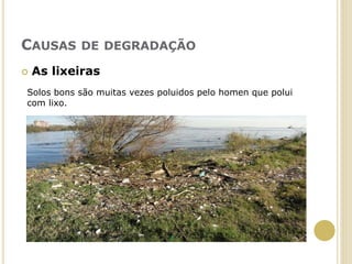 CAUSAS DE DEGRADAÇÃO
 As lixeiras
Solos bons são muitas vezes poluidos pelo homen que polui
com lixo.
 