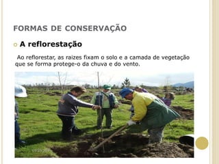 FORMAS DE CONSERVAÇÃO
 A reflorestação
Ao reflorestar, as raizes fixam o solo e a camada de vegetação
que se forma protege-o da chuva e do vento.
 