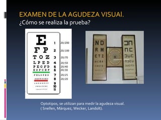 EXAMEN DE LA AGUDEZA VISUAl.
¿Cómo se realiza la prueba?




        Optotipos, se utilizan para medir la agudeza visual.
        ( Snellen, Márquez, Wecker, Landolt).
 