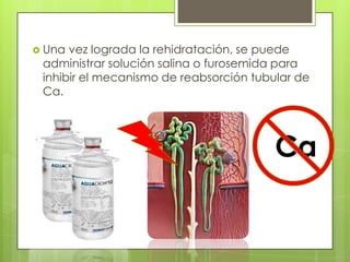  Una vez lograda la rehidratación, se puede
 administrar solución salina o furosemida para
 inhibir el mecanismo de reabsorción tubular de
 Ca.




                                         Ca
 