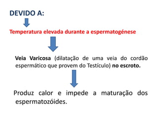 DEVIDO A:

Temperatura elevada durante a espermatogénese



 Veia Varicosa (dilatação de uma veia do cordão
 espermático que provem do Testículo) no escroto.



 Produz calor e impede a maturação dos
  espermatozóides.
 