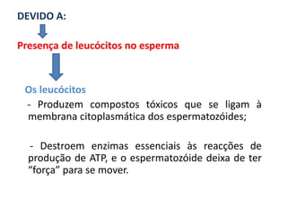 DEVIDO A:

Presença de leucócitos no esperma


 Os leucócitos
 - Produzem compostos tóxicos que se ligam à
 membrana citoplasmática dos espermatozóides;

  - Destroem enzimas essenciais às reacções de
  produção de ATP, e o espermatozóide deixa de ter
  “força” para se mover.
 
