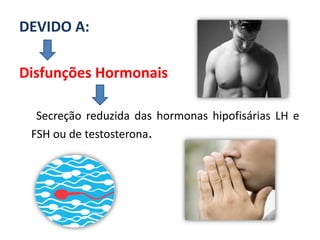 DEVIDO A:

Disfunções Hormonais

  Secreção reduzida das hormonas hipofisárias LH e
 FSH ou de testosterona.
 