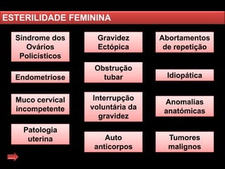 ESTERILIDADE FEMININA
Síndrome dos
Ovários
Policísticos
Endometriose
Muco cervical
incompetente
Patologia
uterina

Gravidez
Ectópica

Abortamentos
de repetição

Obstrução
tubar

Idiopática

Interrupção
voluntária da
gravidez

Anomalias
anatómicas

Auto
anticorpos

Tumores
malignos

 