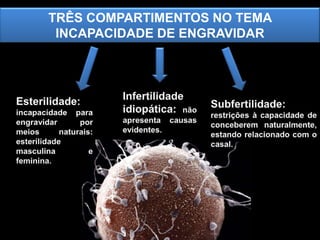 TRÊS COMPARTIMENTOS NO TEMA
INCAPACIDADE DE ENGRAVIDAR

 