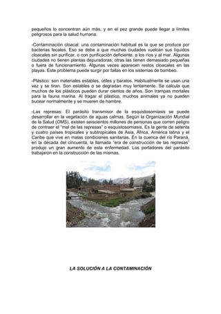 pequeños lo concentran aún más, y en el pez grande puede llegar a límites
peligrosos para la salud humana.

-Contaminación cloacal: una contaminación habitual es la que se produce por
bacterias fecales. Eso se debe a que muchas ciudades vuelcan sus líquidos
cloacales sin purificar, o con purificación deficiente, a los ríos y al mar. Algunas
ciudades no tienen plantas depuradoras; otras las tienen demasiado pequeñas
o fuera de funcionamiento. Algunas veces aparecen restos cloacales en las
playas. Este problema puede surgir por fallas en los sistemas de bombeo.

-Plástico: son materiales estables, útiles y baratos. Habitualmente se usan una
vez y se tiran. Son estables o se degradan muy lentamente. Se calcula que
muchos de los plásticos pueden durar cientos de años. Son trampas mortales
para la fauna marina. Al tragar el plástico, muchos animales ya no pueden
bucear normalmente y se mueren de hambre.

-Las represas: El parásito transmisor de la esquistosomiasis se puede
desarrollar en la vegetación de aguas calmas. Según la Organización Mundial
de la Salud (OMS), existen seiscientos millones de personas que corren peligro
de contraer el “mal de las represas” o esquistosomiasis. Es la gente de setenta
y cuatro países tropicales y subtropicales de Asia, África, América latina y el
Caribe que vive en malas condiciones sanitarias. En la cuenca del río Paraná,
en la década del cincuenta, la llamada “era de construcción de las represas”
produjo un gran aumento de esta enfermedad. Los portadores del parásito
trabajaron en la construcción de las mismas.




                    LA SOLUCIÓN A LA CONTAMINACIÓN
 
