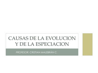 PROFESOR: CRISTIAN MALEBRÁN C.
CAUSAS DE LA EVOLUCION
Y DE LA ESPECIACION
 