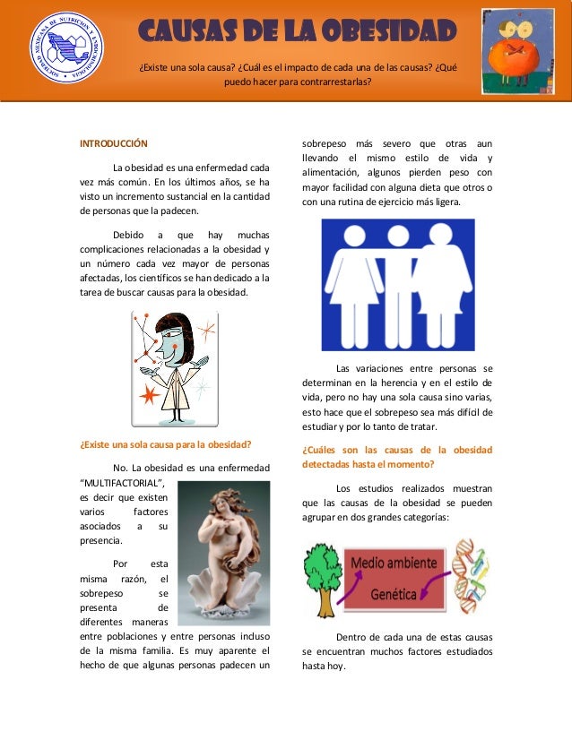 Causas de la obesidad Causas de la obesidad