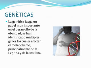 GENÈTICAS
 La genética juega un
 papel muy importante
 en el desarrollo de la
 obesidad, se han
 identificado múltiples
 genes los cuales afectan
 el metabolismo,
 principalmente de la
 Leptina y de la insulina.
 