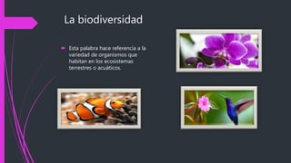 La biodiversidad
Esta palabra hace referencia a la
variedad de organismos que
habitan en los ecosistemas
terrestres o acuáticos.