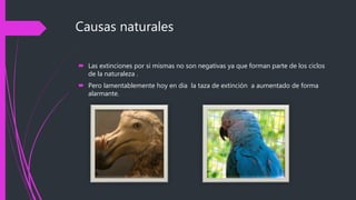 Causas naturales
Las extinciones por si mismas no son negativas ya que forman parte de los ciclos
de la naturaleza .
Pero lamentablemente hoy en dia la taza de extinción a aumentado de forma
alarmante.