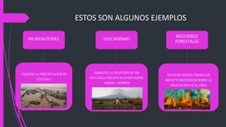 ESTOS SON ALGUNOS EJEMPLOS
INUNDACIONES
ESTOS INCENDIOS TIENEN UN
IMPACTO MODERADO SOBRE LA
VEGETACION DE EL AREA
INCENDIOS
FORESTALES
DURANTE LA ERUPCION DE UN
VOLCAN LA REGION ALEDAÑA SUFRE
VARIOS CAMBIOS
CUANDO LA PRECIPITACION ES
EXCESIVA
VULCANISMO