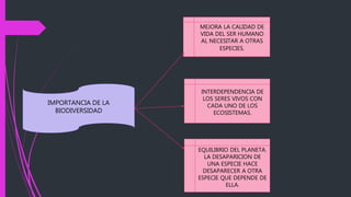 IMPORTANCIA DE LA
BIODIVERSIDAD
MEJORA LA CALIDAD DE
VIDA DEL SER HUMANO
AL NECESITAR A OTRAS
ESPECIES.
INTERDEPENDENCIA DE
LOS SERES VIVOS CON
CADA UNO DE LOS
ECOSISTEMAS.
EQUILIBRIO DEL PLANETA.
LA DESAPARICION DE
UNA ESPECIE HACE
DESAPARECER A OTRA
ESPECIE QUE DEPENDE DE
ELLA.