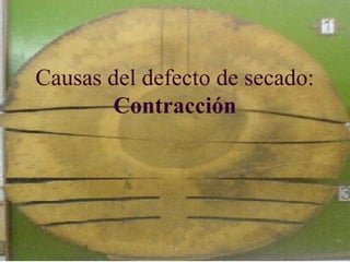 Causas del defecto de secado:
        Contracción
 