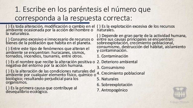 Causas Del Deterioro Ambiental