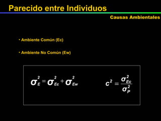 Ambiente Común (Ec) Ambiente No Común (Ew) Parecido entre Individuos Causas Ambientales 