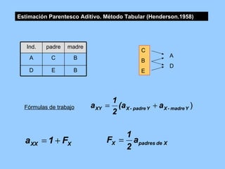 Estimación Parentesco Aditivo. Método Tabular (Henderson.1958) Fórmulas de trabajo B E D B C A madre padre Ind. C B E A D 