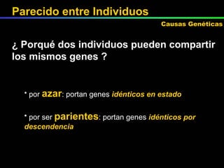 ¿ Porqué dos individuos pueden compartir los mismos genes ? por  azar : portan genes  idénticos en estado por ser  parientes : portan genes  idénticos por descendencia Parecido entre Individuos Causas Genéticas 