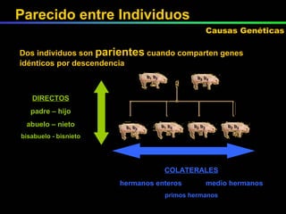 Dos individuos son  parientes  cuando comparten genes idénticos por descendencia DIRECTOS padre – hijo abuelo – nieto bisabuelo - bisnieto COLATERALES hermanos enteros  medio hermanos primos hermanos Causas Genéticas Parecido entre Individuos 