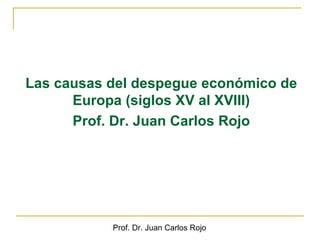 Las causas del despegue económico de
      Europa (siglos XV al XVIII)
      Prof. Dr. Juan Carlos Rojo




           Prof. Dr. Juan Carlos Rojo
 
