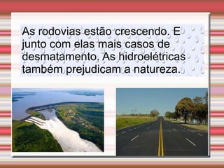 As rodovias estão crescendo. E
junto com elas mais casos de
desmatamento. As hidroelétricas
também prejudicam a natureza.
 