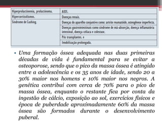 • Uma formação óssea adequada nas duas primeiras
décadas de vida é fundamental para se evitar a
osteoporose, sendo que o pico da massa óssea é atingido
entre a adolescência e os 35 anos de idade, sendo 20 a
30% maior nos homens e 10% maior nos negros. A
genética contribui com cerca de 70% para o pico de
massa óssea, enquanto o restante fica por conta da
ingestão de cálcio, exposição ao sol, exercícios físicos e
época de puberdade aproximadamente 60% da massa
óssea são formados durante o desenvolvimento
puberal.
 