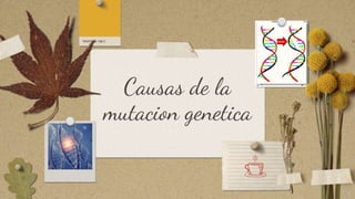Causas de la
mutacion genetica
 
