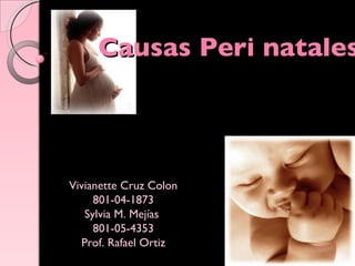Causas Peri natales Vivianette Cruz Colon 801-04-1873 Sylvia M. Mejías  801-05-4353 Prof. Rafael Ortiz 