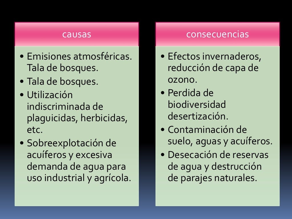 Causas Y Consecuencias