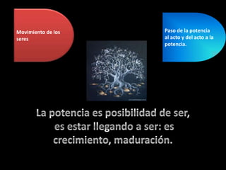 Movimiento de los seresPaso de la potencia al acto y del acto a la potencia.La potencia es posibilidad de ser,es estar llegando a ser: es crecimiento, maduración.La potencia es posibilidad de ser, es estar llegando a ser: es crecimiento, maduración.  