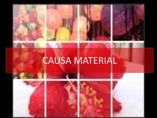CAUSA MATERIAL