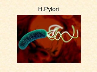 H.Pylori
 